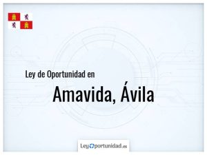 Ley oportunidad  Amavida