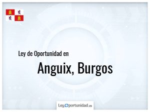 Ley oportunidad  Anguix