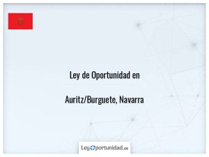 Ley oportunidad  Auritz/Burguete