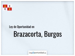 Ley oportunidad  Brazacorta