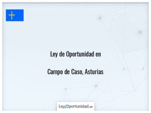 Ley oportunidad  Campo de Caso