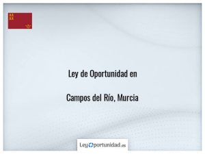 Ley oportunidad  Campos del Río