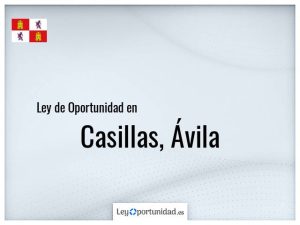 Ley oportunidad  Casillas