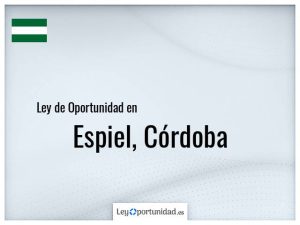 Ley oportunidad  Espiel