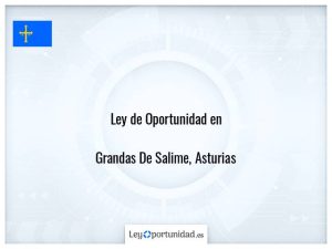 Ley oportunidad  Grandas De Salime