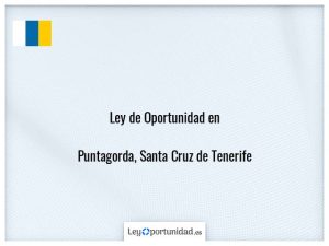 Ley oportunidad  Puntagorda